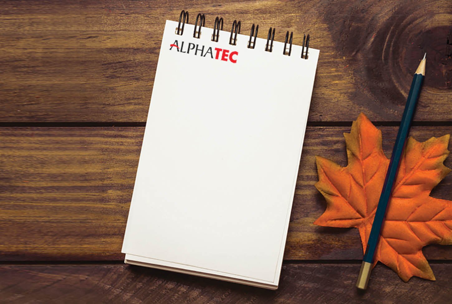 bulk brochure designing