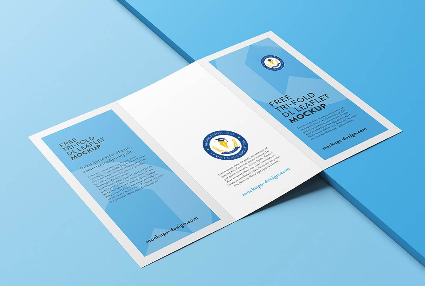 smo company calicut kerala india